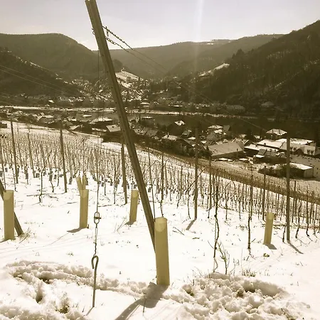 Relactive-Mosel Feriendomizil Traben-Trarbach Zimmer foto
