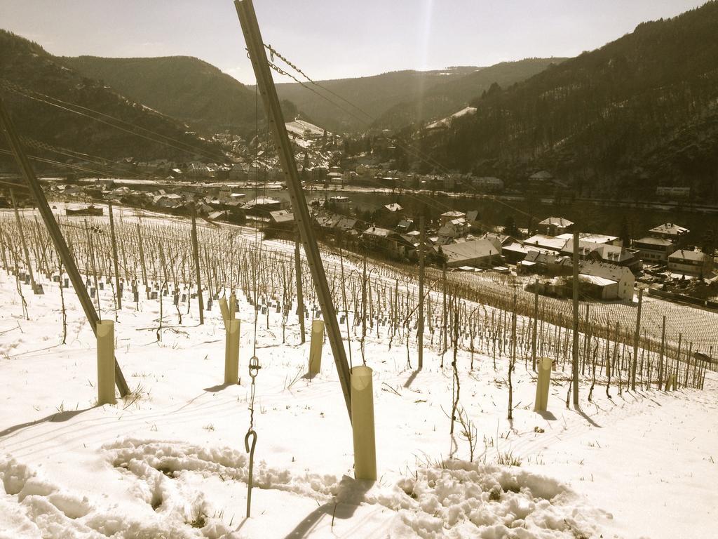 Relactive-mosel Feriendomizil Traben-Trarbach